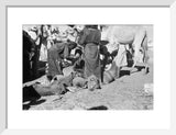 View of Sa'ar Bedouin watering ...