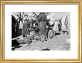 View of Sa'ar Bedouin watering ...