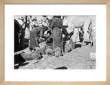 View of Sa'ar Bedouin watering ...