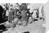 View of Sa'ar Bedouin watering ...