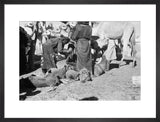 View of Sa'ar Bedouin watering ...
