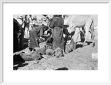View of Sa'ar Bedouin watering ...