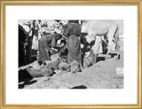 View of Sa'ar Bedouin watering ...