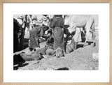 View of Sa'ar Bedouin watering ...