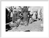 View of Sa'ar Bedouin watering ...