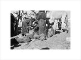 View of Sa'ar Bedouin watering ...