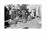View of Sa'ar Bedouin watering ...