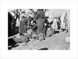 View of Sa'ar Bedouin watering ...
