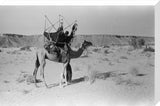 View of a woman from ...