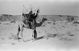 View of a woman from ...