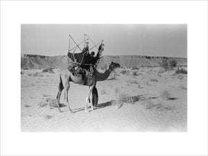 View of a woman from ...