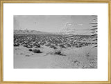 View of a desert plain ...