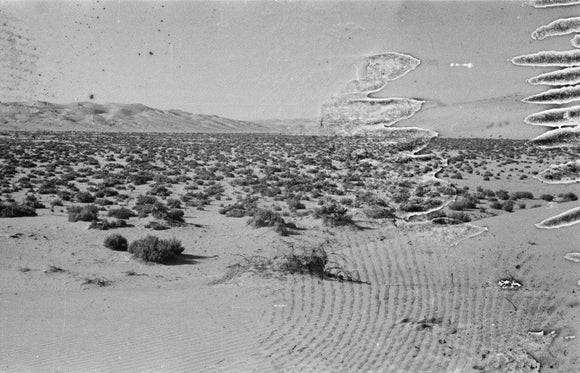 View of a desert plain ...