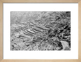View of terraced fields stretching ...
