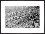 View of terraced fields stretching ...