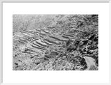 View of terraced fields stretching ...