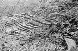 View of terraced fields stretching ...