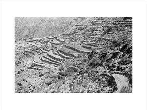 View of terraced fields stretching ...