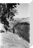 View of a man standing ...