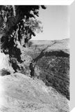 View of a man standing ...
