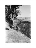 View of a man standing ...