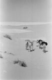 View of two members of ...