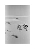 View of two members of ...