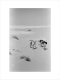 View of two members of ...