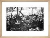 View of a herd of ...