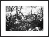 View of a herd of ...