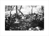 View of a herd of ...