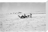Wilfred Thesiger's party in the ...