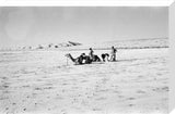 Wilfred Thesiger's party in the ...