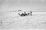 Wilfred Thesiger's party in the ...
