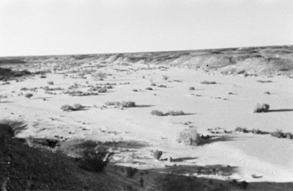 View of a dry wadi ...