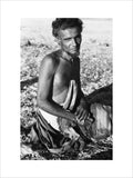 Seated portrait of a tribesman ...