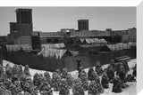View of coral and 'arish ...