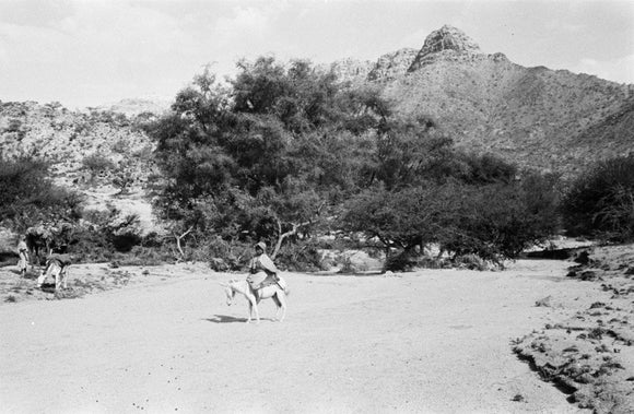 A man on a donkey ...