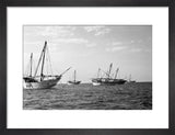 Side view of kotias, large ...