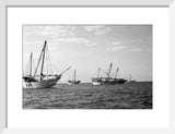 Side view of kotias, large ...