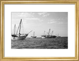 Side view of kotias, large ...