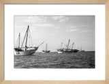 Side view of kotias, large ...
