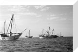 Side view of kotias, large ...