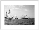 Side view of kotias, large ...