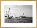 Side view of kotias, large ...