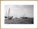 Side view of kotias, large ...