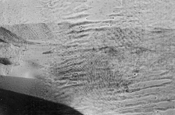 View of a member of ...