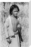 Portrait of a boy at ...