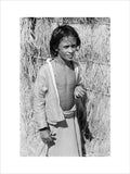 Portrait of a boy at ...