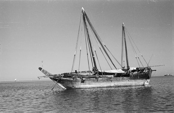 Side view of a boom ...